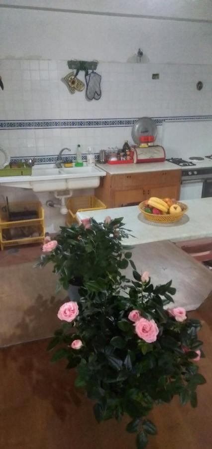 Salerno Experience Hostel Екстер'єр фото